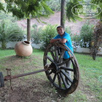 фото из отзыва ID 1216324