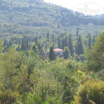 фото из отзыва ID 12267