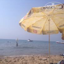 фото из отзыва ID 1220041