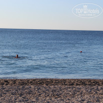 фото из отзыва ID 1220116