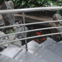 фото из отзыва ID 1220188