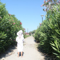 фото из отзыва ID 1220231