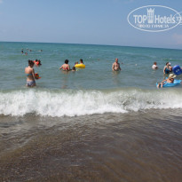 фото из отзыва ID 1220231