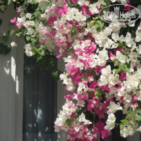 фото из отзыва ID 1220843