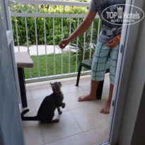 фото из отзыва ID 1220843