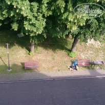 фото из отзыва ID 1220848