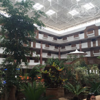 фото из отзыва ID 1220959