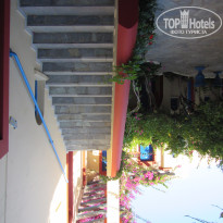 фото из отзыва ID 1221073