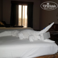 фото из отзыва ID 1221286