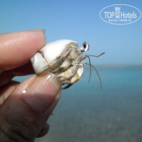 фото из отзыва ID 1221286