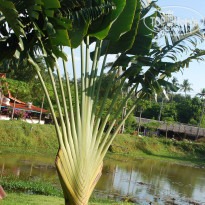 фото из отзыва ID 1221427