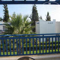 фото из отзыва ID 1221432