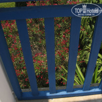 фото из отзыва ID 1221432