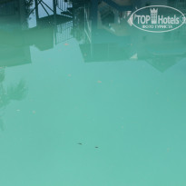 фото из отзыва ID 1221494