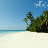 фото из отзыва ID 1221708