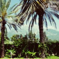 фото из отзыва ID 1221811