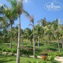 фото из отзыва ID 1221989