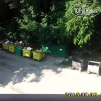 фото из отзыва ID 1221805