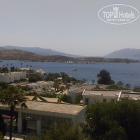 фото из отзыва ID 1222403