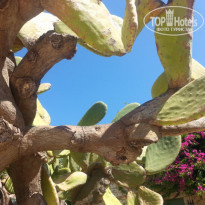 фото из отзыва ID 1222457