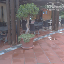 фото из отзыва ID 1222850