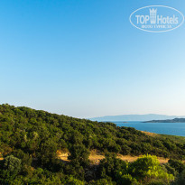 фото из отзыва ID 1221951