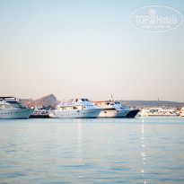 фото из отзыва ID 1223082