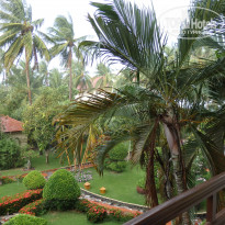 фото из отзыва ID 1220169