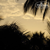 фото из отзыва ID 1220169