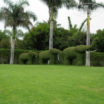 фото из отзыва ID 1223129