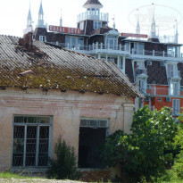 фото из отзыва ID 1223164