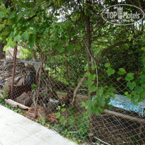 фото из отзыва ID 1223164