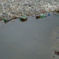 фото из отзыва ID 1223164