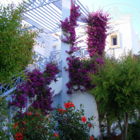 фото из отзыва ID 1223305