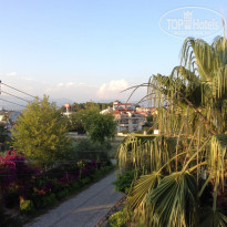 фото из отзыва ID 1223659