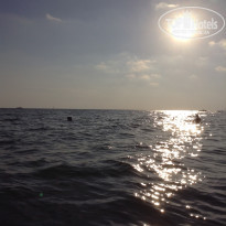 фото из отзыва ID 1223659