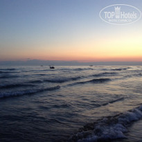 фото из отзыва ID 1223659