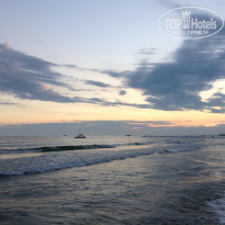 фото из отзыва ID 1223659