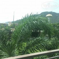 фото из отзыва ID 1223691