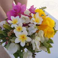 фото из отзыва ID 1223834