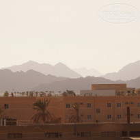 фото из отзыва ID 1223834