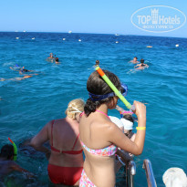 фото из отзыва ID 1220577