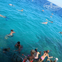 фото из отзыва ID 1220577