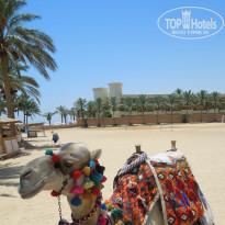 фото из отзыва ID 1224045