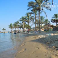 фото из отзыва ID 1224045