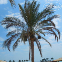 фото из отзыва ID 1224045