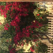 фото из отзыва ID 1222375