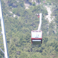 фото из отзыва ID 1224224