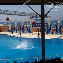 фото из отзыва ID 1224255