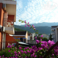 фото из отзыва ID 1224421